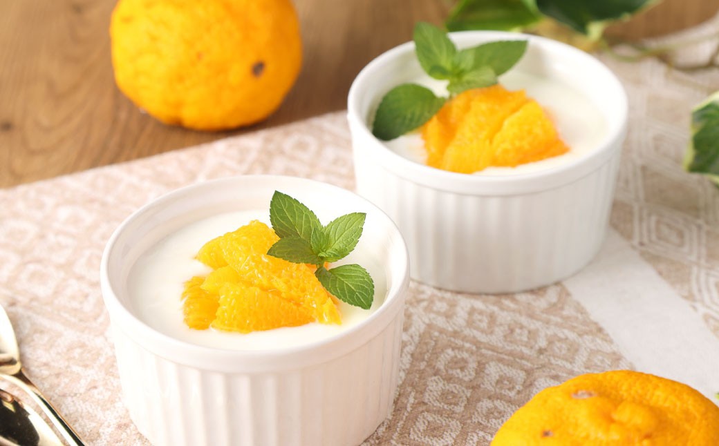 【定期便5回】球磨の恵みヨーグルト（加糖） 2kg（1kg×2パック）