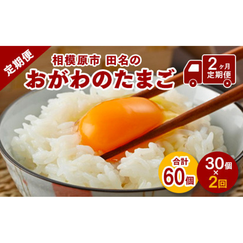 【2ヶ月定期便】【毎月後半発送】相模原市田名のおがわのたまご　ピンク卵 Mサイズ 30個(27個＋割れ補償3個)×2か月| 卵 鶏卵 玉子 たまご 生卵 国産 濃厚 コク 旨味 旨み