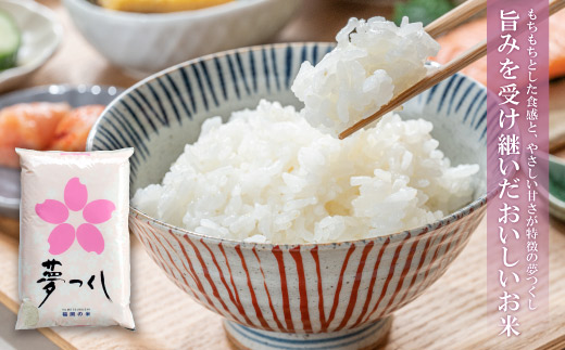 研ぐお米 福岡ブランド米3品種セット(各2kg) 精米 米 コメ 2kg×3 小袋 小分け 研ぐお米 6kg 箱入り 福岡 夢つくし ひのひかり 元気つくし 元気づくし お裾分け セット 手軽 リピー