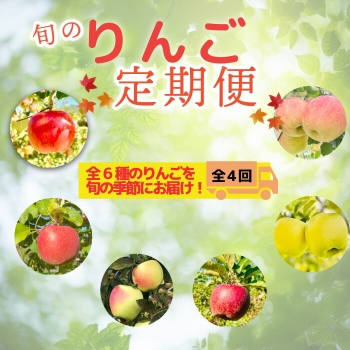 【ふるさと納税】＜先行予約＞飯山りんごの定期便(7-A28)＜出荷開始：2025/9月上旬～＞【 林檎 りんご リンゴ 果物 くだもの フルーツ 長野 長野県 飯山市 サンつがる シナノスイーツ 秋映 シナノゴールド 名月 サンふじ ギフト プレゼント 記念日 誕生日 残暑見舞い 】