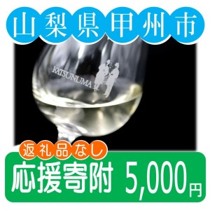 山梨県甲州市への応援寄附１口5,000円【返礼品なし】A-5000