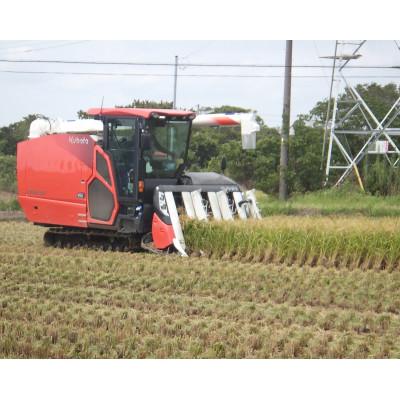 ふるさと納税 神栖市 【令和7年産】オリジナルブランド米!はさき産コシヒカリ鈴穂(精米)10kg【5kg×2袋】 |  | 02