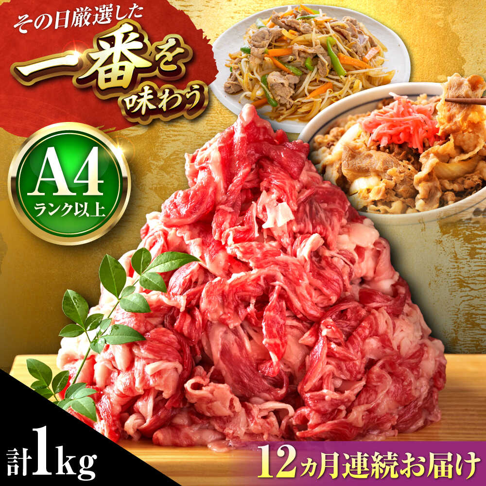 【ふるさと納税】【全12回定期便】【A4〜A5】博多和牛 切り落とし 1kg(500g×2P) 吉富町/株式会社MEAT PLUS[BGAB103]
