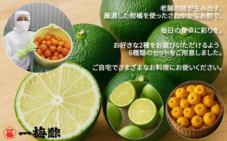 四国の絶品 柑橘王国愛媛 老舗の手づくり 柑橘ぽん酢 食べ比べ 2種 200ml×2本 Fセット（青レモン・すだち） 【昭和23年創業 一梅酢】 国産 人気