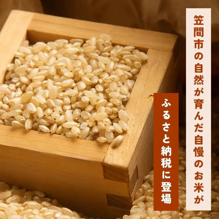 玄米 米 20kg にじのきらめき FH-026