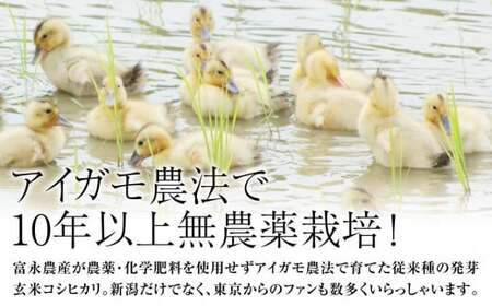令和7年・新潟県産|JAS有機栽培アイガモ農法 コシヒカリ 発芽玄米 2kg