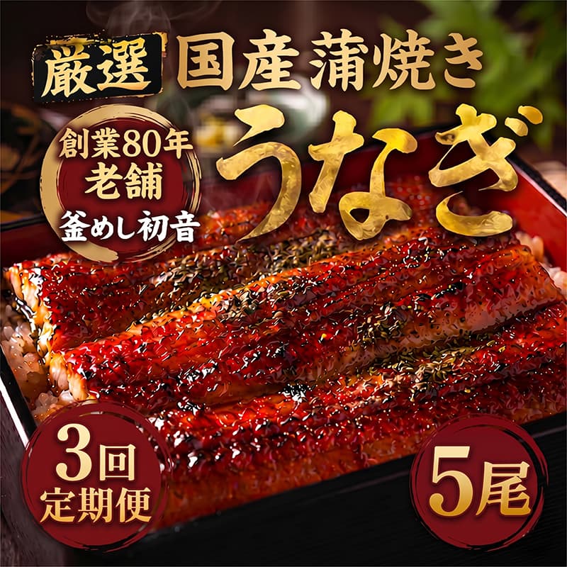 【ふるさと納税】 定期便 3回 国産 うなぎ かば焼き 5尾 （ 1本約190g〜220g ） 70年つぎ足しの秘伝のたれ 初音の 厳選 高知県産 うなぎ 蒲焼き タレ付き ウナギ 鰻 国産 魚 魚介類 冷凍 海鮮 土曜 丑の日 土曜の丑の日 うな重 うな丼 人気 おすすめ 頒布会 高知県産 室戸市