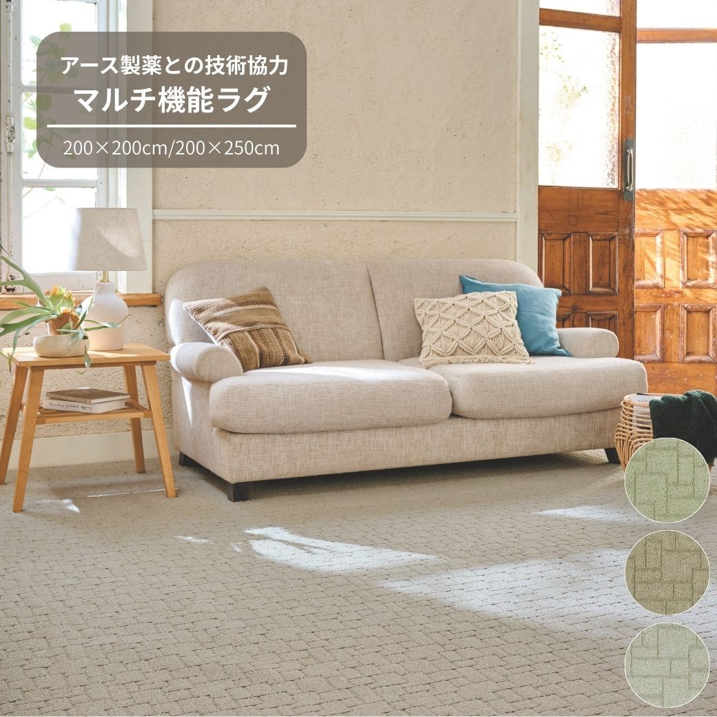 【ふるさと納税】G178 防虫・防ダニ・防カビ・抗菌のマルチ機能デザインラグ 2サイズ