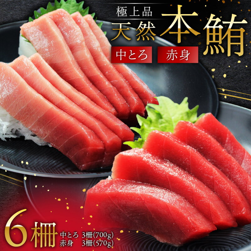 【ふるさと納税】 極上品 天然 本鮪 中とろ 3柵 赤身 3柵 まぐろ マグロ 鮪 三崎 三崎港 海鮮 魚 魚介 母の日 父の日 敬老の日 オーシャン・グロウ 神奈川 三浦市 おすすめ ランキング プレゼント ギフト