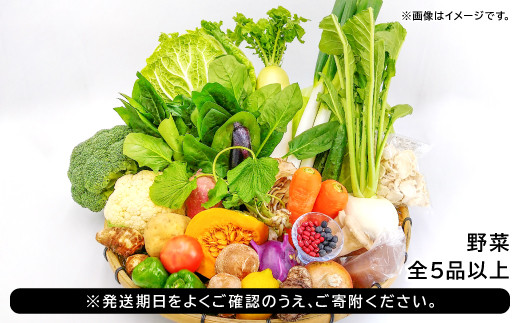 ※発送期日をよくご確認のうえ、ご寄附ください。