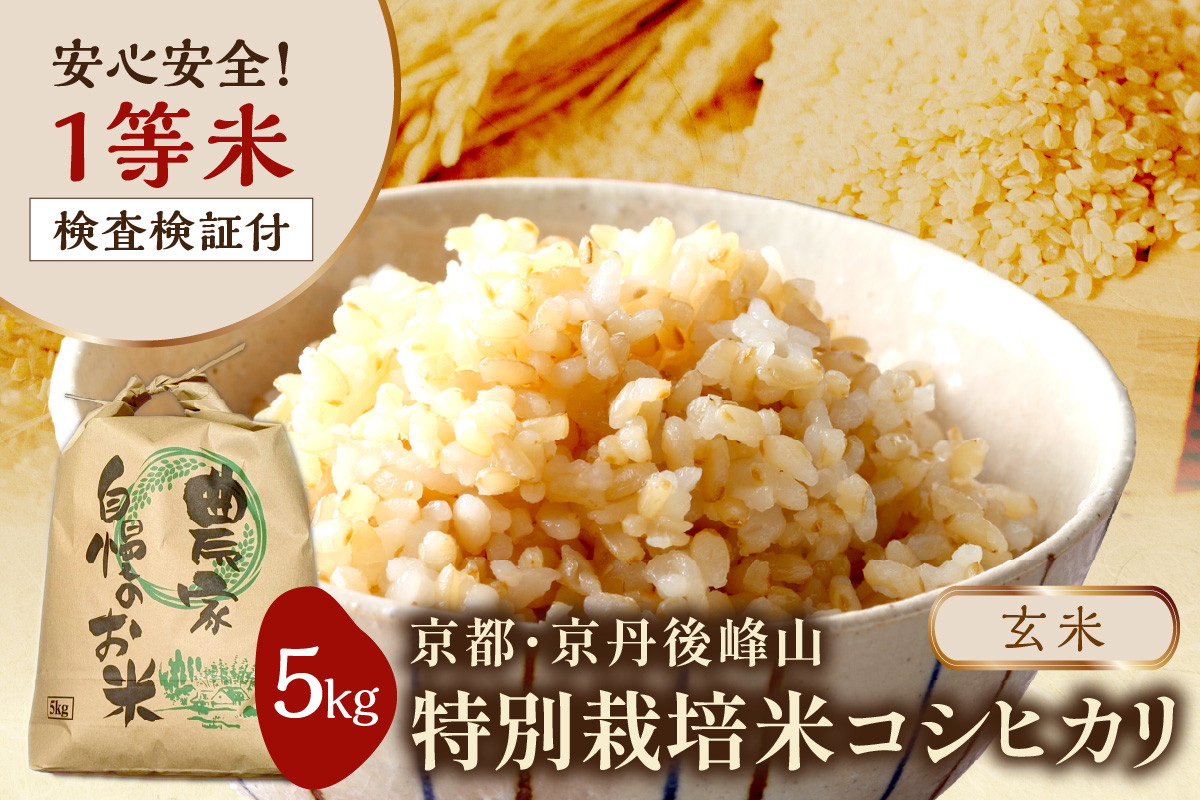 
            2024年産 京都・京丹後峰山 特別栽培米コシヒカリ 5kg 【玄米】 1等米 検査済証付　MF00058
          