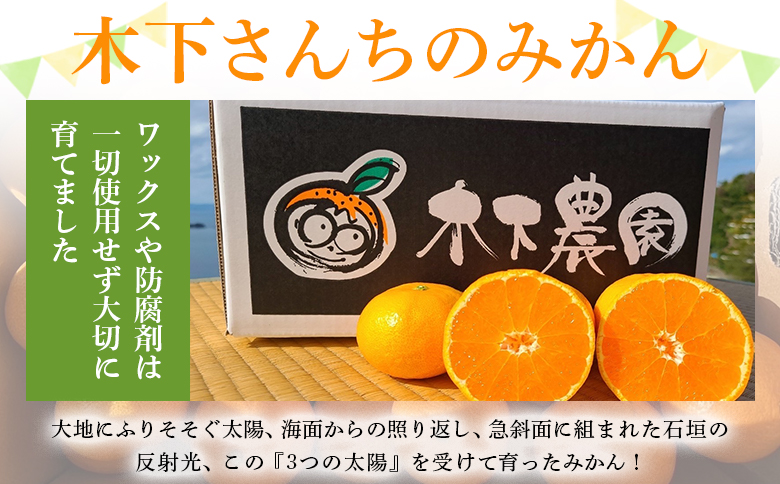 ＜木下さんちのみかん 良品 約3kg（S～Lサイズ混合）＞ 『2026年11月中旬～12月下旬に順次出荷予定』柑橘 温州みかん ミカン 果物 くだもの フルーツ 西宇和 愛媛県 西予市 約3kg（寄附