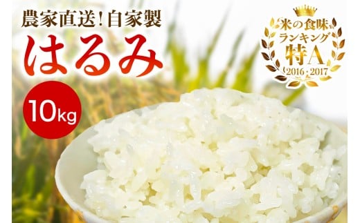 [令和7年産] 伊勢原産 精米10kg(5kg×2袋) はるみ 農家直送！加藤さんちのうんめぇ！自家製米｜お米 おこめ コメ 白米 神奈川 伊勢原 ブランド米 [0524]