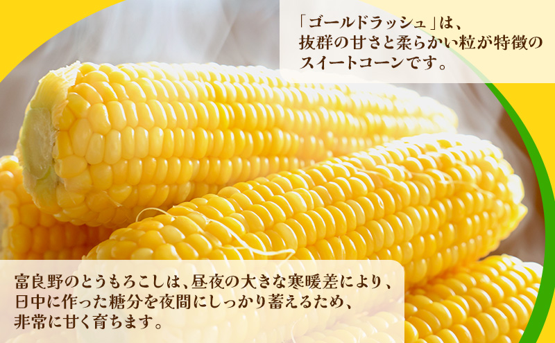 【2026年発送】富良野産 とうもろこし ゴールドラッシュ 約2