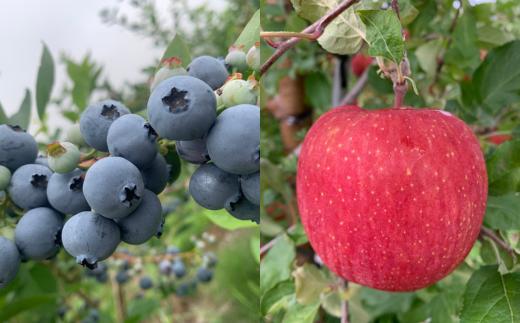 手作りジャムのパーティセット(5種類以上計18本) SBTK003