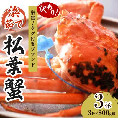 ふるさと納税 京丹後市 ズワイガニ 姿【訳あり!タグ付きブランド蟹】茹で松葉かに　浜茹でにてお届け! 800g級×3杯