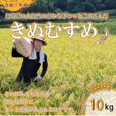 ふるさと納税 伯耆町 【5年連続特Aランク獲得】令和7年産　原田農園きぬむすめ精米 10kg