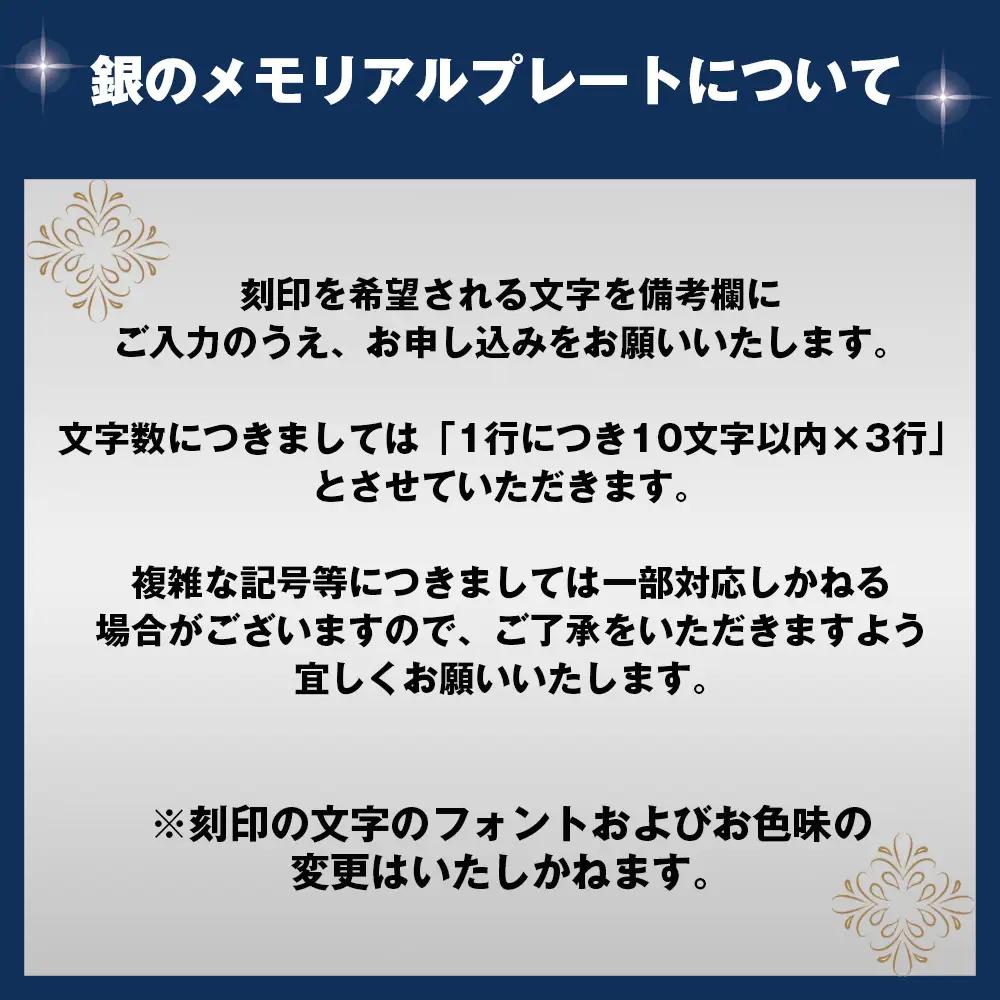 銀のお祝いセット　～銀製ベビースプーン（silver925）＆銀製プレート（Ag－9999）～ ／ ベビースプーン 銀製ベビースプーン silver925 純銀プレート メモリアルプレート 名入れ 出