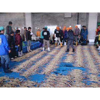 ふるさと納税 岩美町 鳥取網代港【訳あり】浜茹で!松葉ガニ・セコガニセット(大)【さかなや新鮮組】 |  | 03