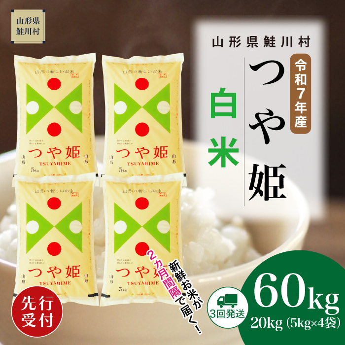 ＜令和7年産米先行受付＞ 鮭川村産 特別栽培米 つや姫 【白米】60kg定期便(20kg×3回)　配送時期指定できます！