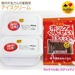 【 業務用 】 稚内牛乳 アイスクリーム 2L×2個 ( 宗谷の塩 ＆ チョコレート ) と 珍味【配送不可地域：離島】【1308062】