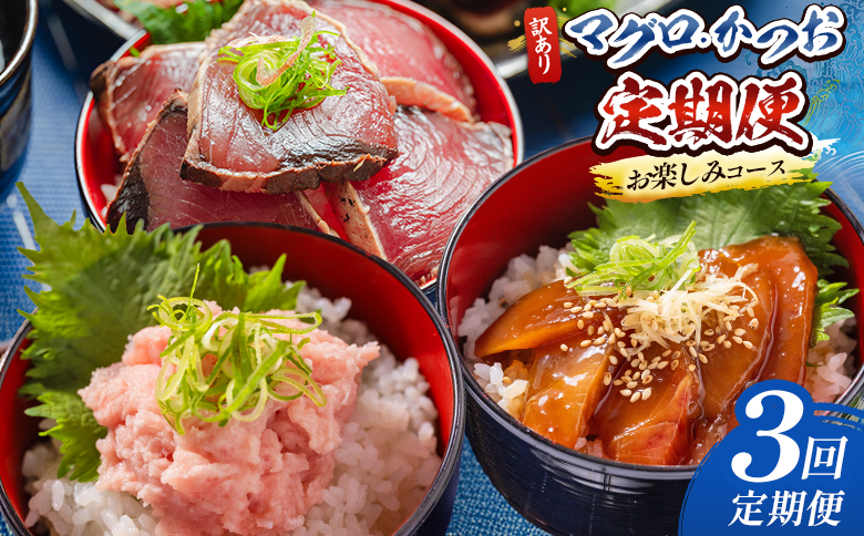 ３回 定期便 マグロ かつおお楽しみ定期便 訳あり マグロ 鮪 カツオ 鰹 漬けマグロ たたき ネギトロ 配送回数 定期便 小分け 海鮮 魚介 冷凍食品 加工品 海鮮丼 刺身 株式会社大熊 高知県 香南市 冷凍 Wda-0051