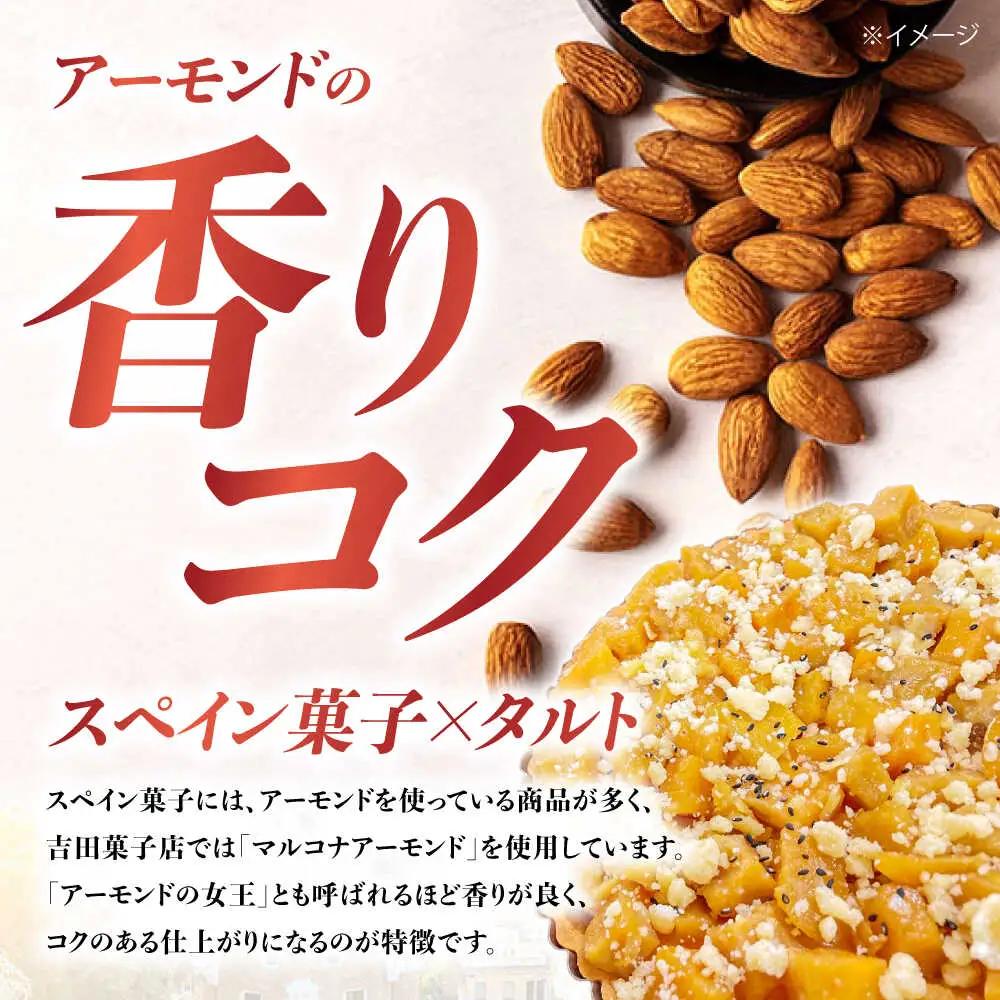 【6回定期便】焼きこみタルト 吉田菓子店 [SCT025] タルト