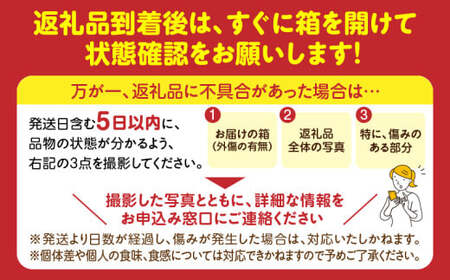 【苺ファーム森本】女峰いちご　小パック180ｇ×4パック　≪　IDOMALL　セレクト≫　_mk048-007