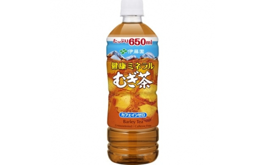 
＜毎月定期便＞健康ミネラルむぎ茶650ml48本全3回【4008881】
