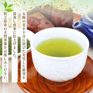 137-1 深蒸し茶 特選5本 静岡県 牧之原市 マルイ伊藤製茶 