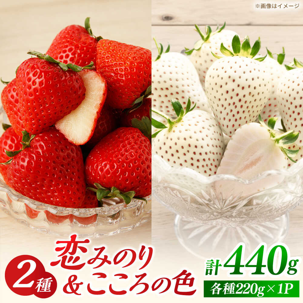 【ふるさと納税】【先行予約 2027年2月以降発送】恋みのり・こころの色 220g×2パック（各1パック）【鐘ヶ江農園】 佐賀県 白石 [IBH020]
