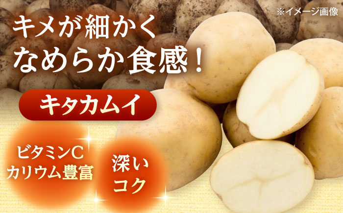【2026年11月上旬以降順次発送】 じゃがいも キタカムイ（まっかりじゃが）10kg | 野菜 じゃがいも ジャガイモ キタカムイ 北海道 産地直送 | 道の駅 真狩フラワーセンター [BPAM04