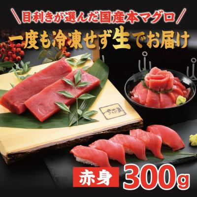 ふるさと納税 越前町 「生本まぐろ」赤身 300g(2〜3柵) |  | 02