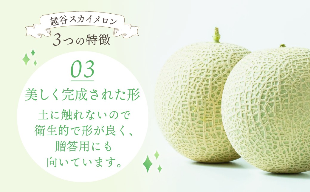 メロン めろん スカイメロン すかいめろん メロン めろん スカイメロン すかいめろん メロン めろん スカイメロン メロン