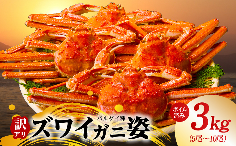 【訳あり規格】バルダイ種 ズワイガニ姿 3kg（5〜10尾）【ボイル済み オオズワイガニ かに カニ 蟹 ズワイガニ ファミリー向け】