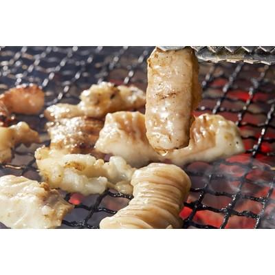 ふるさと納税 赤平市 たきもとのホルモン(塩味)・味付ジンギスカン【各2袋セット】 |  | 02