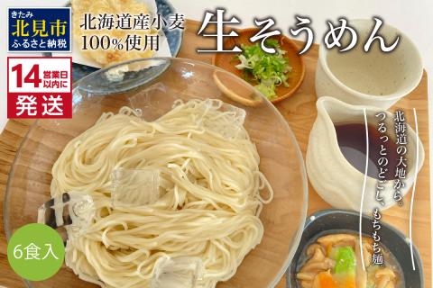 《14営業日以内に発送》【北海道産小麦100％使用】津村製麺所がつくる 生そうめん 6食入 ( 素麺 生 生めん 生麺 そうめん 北海道 小麦粉 ソーメン )【003-0007】