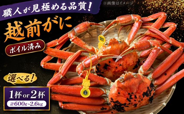 
                  【選べる容量】【先行予約/11月18日より順次配送】越前がに 茹で 福井県産ズワイガニ / かに カニ 蟹 越前ガニ ズワイガニ ボイル / 小浜市 / 一進わかさ【配送不可地域：北海道・沖縄・離島】 [BFES001-016]
                