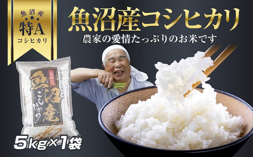 DH01 新潟県 魚沼産 コシヒカリ お米 5kg こしひかり  精米 米（お米の美味しい炊き方ガイド付き）