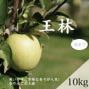 【ふるさと納税】【家庭用】藤崎町産りんご　王林約10kg(24〜40個)【配送不可地域：離島・沖縄県】【1031231】