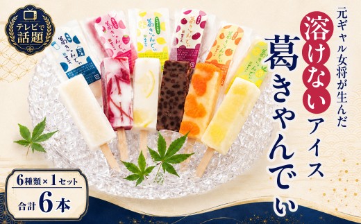 アイス 葛きゃんでぃ 6本セット 溶けないアイス | アイス あいす 葛バー 葛アイス くずあいす アイスバー アイスキャンディー 和菓子 スイーツ 冷凍 フルーツ 葛菓子 低カロリー おやつ お菓子 デザート 詰め合わせ いちごミルク パイン ホワイトレモン みかん 小豆 甘酒 をかの 埼玉県 桶川市