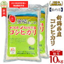 【ふるさと納税】令和6年 米 定期便 6回 10kg 5kg×2袋 新潟 コシヒカリ 新潟こしひかり 白米 16-K106【6ヶ月連続お届け】新潟県胎内市産コシヒカリ10kg（5kg×2袋）