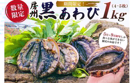 【期間限定・数量限定】房州黒あわび 1kg（4～5枚） mi0020-0010 【あわび アワビ 特産品 肉厚 食べ応え ホイル焼き 海鮮 魚介類 限定 】