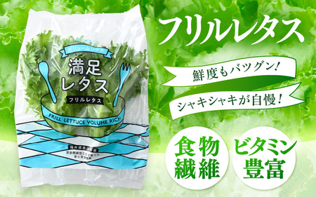 定期便 ≪2ヶ月連続お届け≫ 低カリウムレタス&フリルレタス　計6個セット 全2回 【福井県美浜町産】【野菜 生野菜 レタス サラダ サンドイッチ お弁当 水耕栽培 洗わず食べられる 時短 付け合わせ