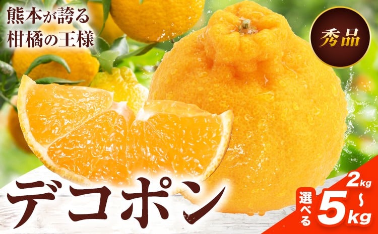
                  デコポン 選べる 内容量 約2kg～約5kg 日本フルーツ株式会社 熊本県 荒尾市 《1月下旬-2月末頃出荷予定》 デコポン 果物 秀品 フルーツ スイーツ デザート ギフト ご贈答
                