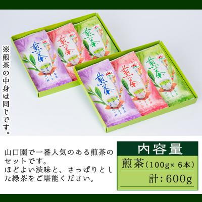 ふるさと納税 曽於市 <お茶生産量日本一の鹿児島県産!>小さいお茶屋の煎茶600g! |  | 01