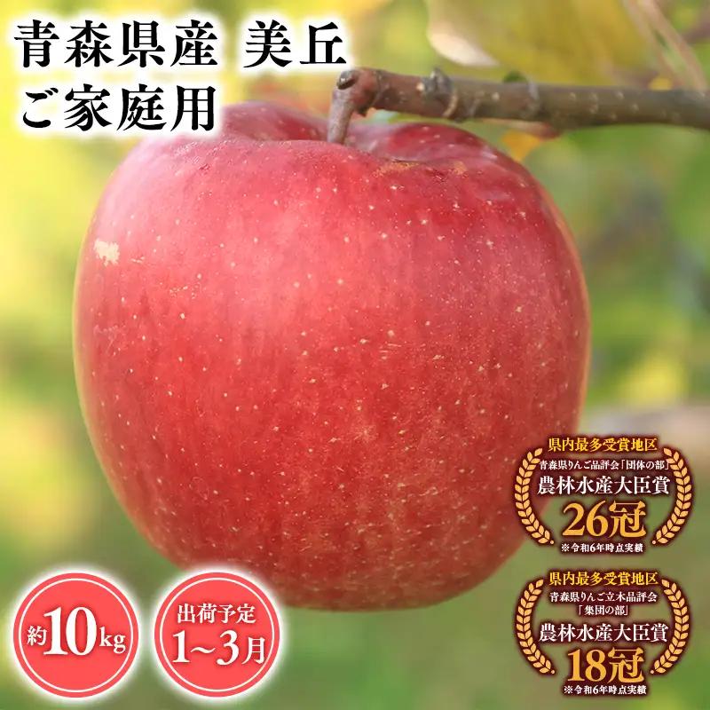 りんご 家庭用 美丘10kg りんご