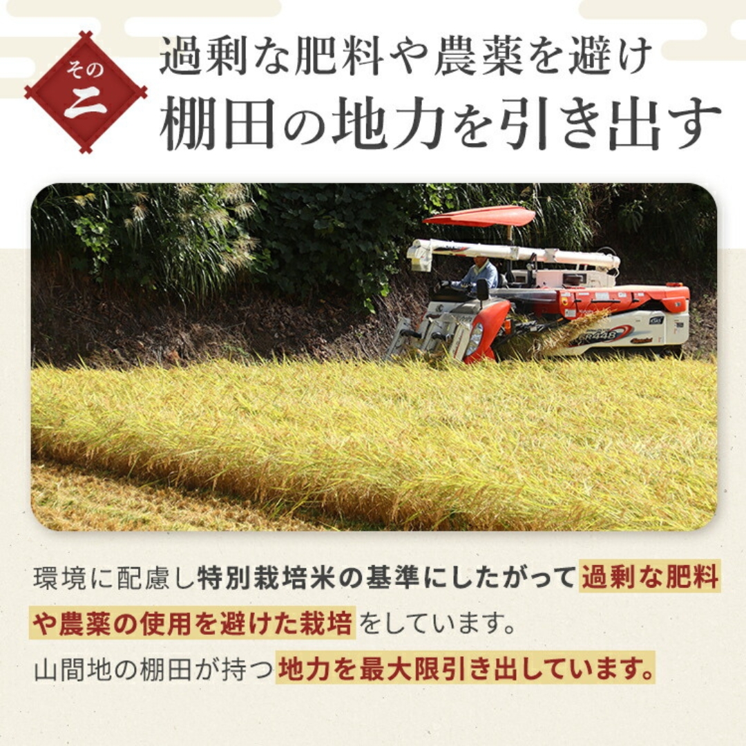 【令和7年産 定期便】【毎月お届け】わかとち産 魚沼コシヒカリ 特別栽培 棚田米 5kg×6回 白米 精米  新潟県産 コシヒカリ