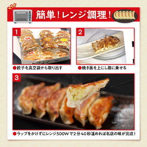 ひろしの職人焼き餃子（レンチン餃子）　hi004-hi044-002　餃子 ぎょうざ ギョウザ 冷凍餃子 にんにくを特製餃子 海老餃子 もちチーズ餃子 冷凍食品 グルメ 惣菜 中華総菜 おかず お取り