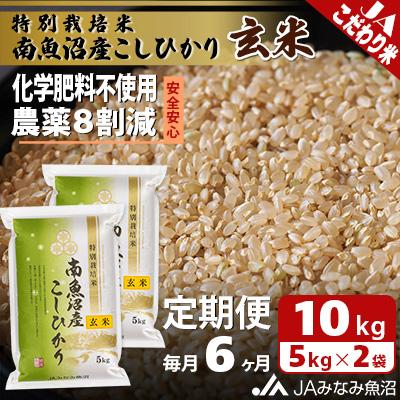 ふるさと納税 南魚沼市 【毎月定期便】特別栽培米南魚沼産こしひかり8割減 玄米 10kg(5kg×2)全6回